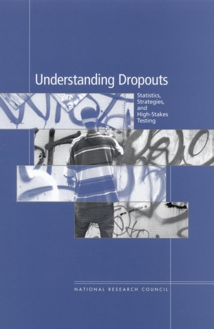 Understanding Dropouts : Statistics, Strategies, and High-Stakes Testing, PDF eBook