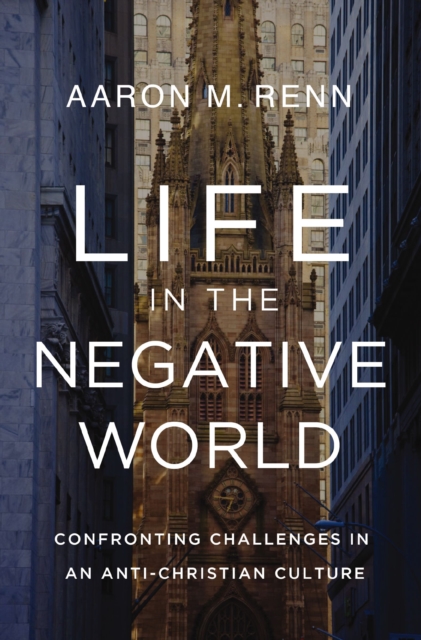 Life in the Negative World : Confronting Challenges in an Anti-Christian Culture, EPUB eBook