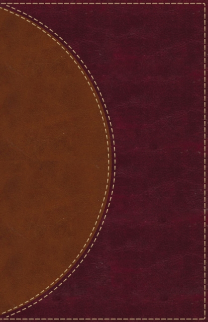 Amplified Reading Bible, Leathersoft, Brown, Thumb Indexed : A Paragraph-Style Amplified Bible for a Smoother Reading Experience, Leather / fine binding Book