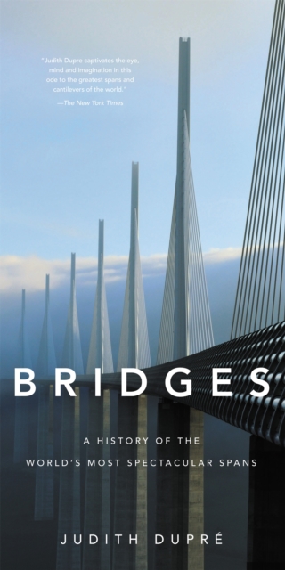Bridges (New edition) : A History of the World's Most Spectacular Spans, Hardback Book