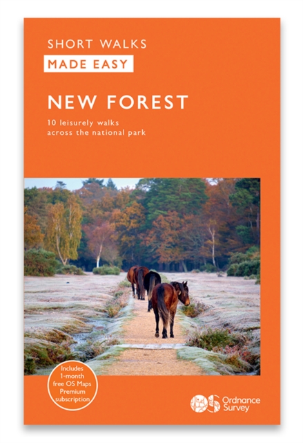New Forest, Hardback Book