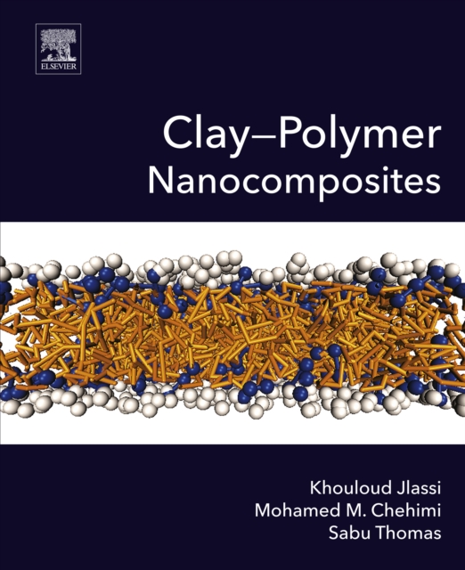 Clay-Polymer Nanocomposites, EPUB eBook