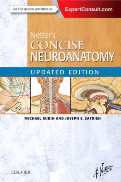 Netter's Concise Neuroanatomy Updated Edition, Paperback / softback Book