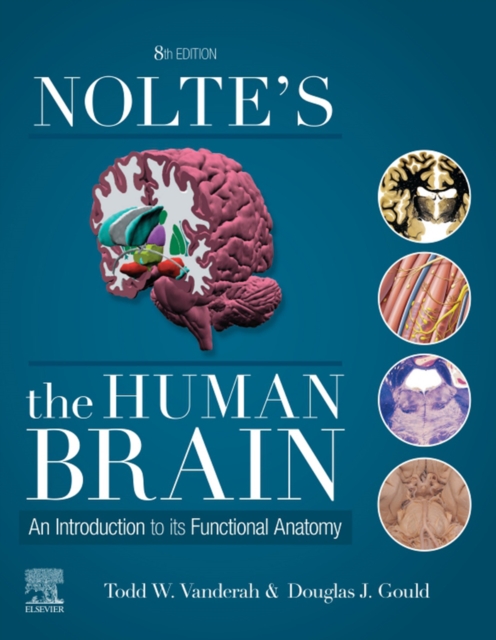 Nolte's The Human Brain E-Book : Nolte's The Human Brain E-Book, EPUB eBook