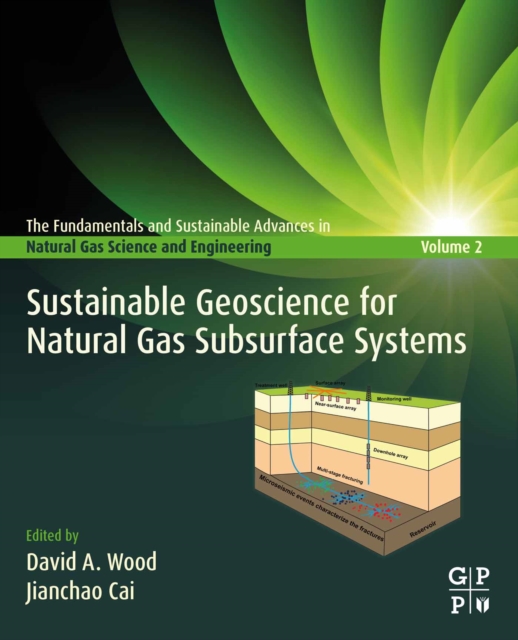 Sustainable Geoscience for Natural Gas SubSurface Systems, EPUB eBook