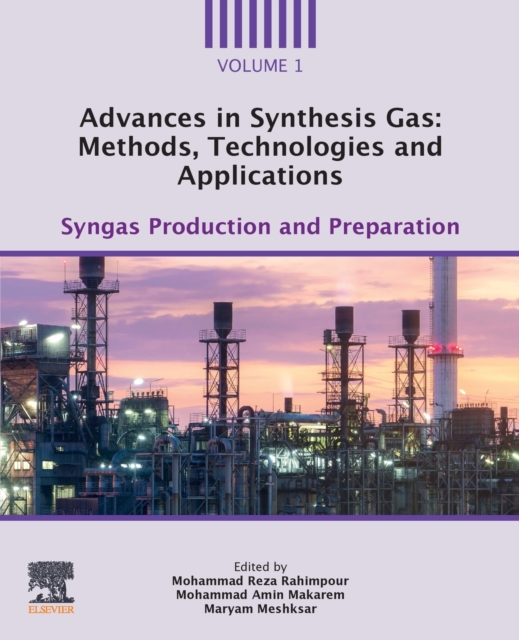 Advances in Synthesis Gas: Methods, Technologies and Applications : Syngas Production and Preparation, Paperback / softback Book Advances in Synthesis Gas: Methods, Technologies and Applications : Syngas Production and Preparation, Paperback / softback Book