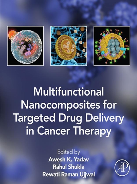 Multifunctional Nanocomposites for Targeted Drug Delivery in Cancer Therapy, EPUB eBook