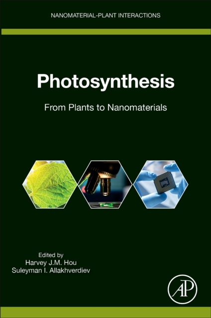Photosynthesis : From Plants to Nanomaterials, Paperback / softback Book