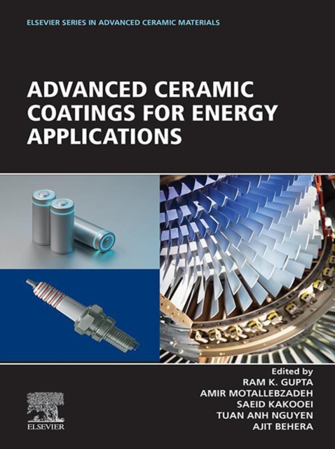 Advanced Ceramic Coatings for Energy Applications, EPUB eBook