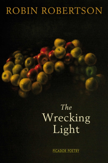 The Wrecking Light, Paperback / softback Book