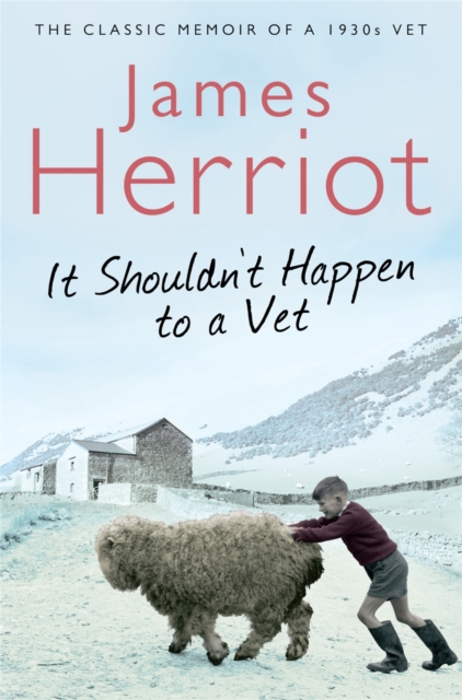 It Shouldn't Happen to a Vet : The Classic Memoir of a 1930s Vet, Paperback / softback Book