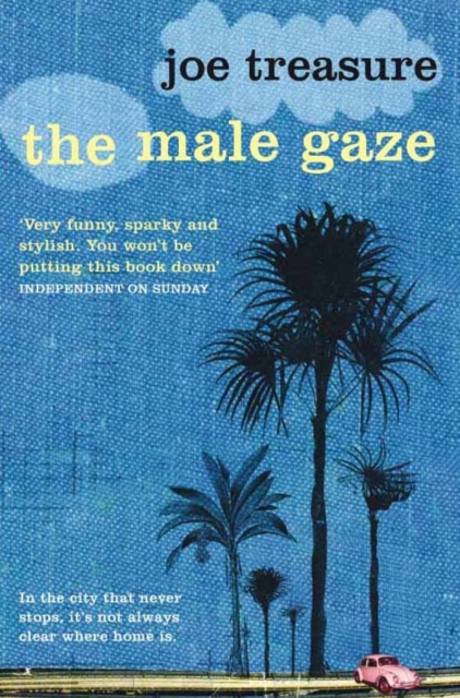Male Gaze, EPUB eBook