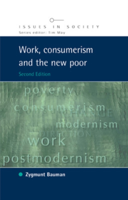 Work, Consumerism and the New Poor, Paperback / softback Book