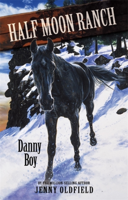 Horses of Half Moon Ranch: Danny Boy : Book 9, Paperback / softback Book