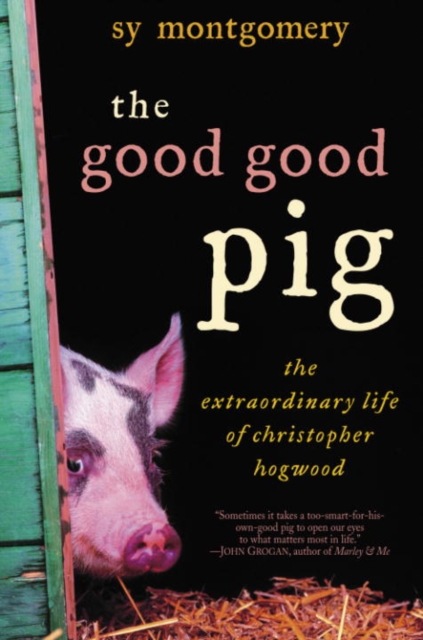 Good Good Pig, EPUB eBook