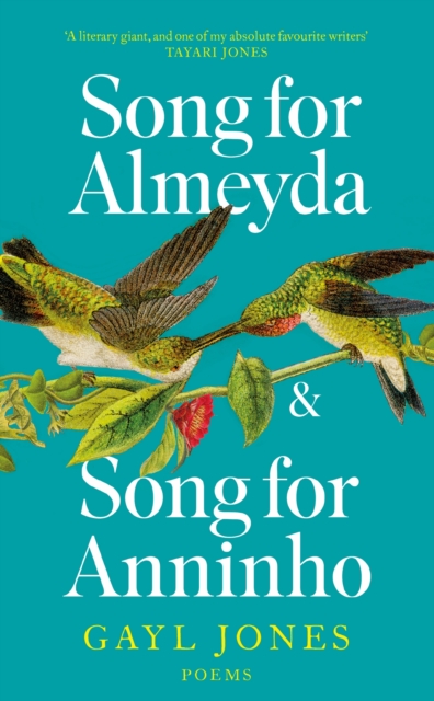 Song for Almeyda and Song for Anninho, Paperback / softback Book