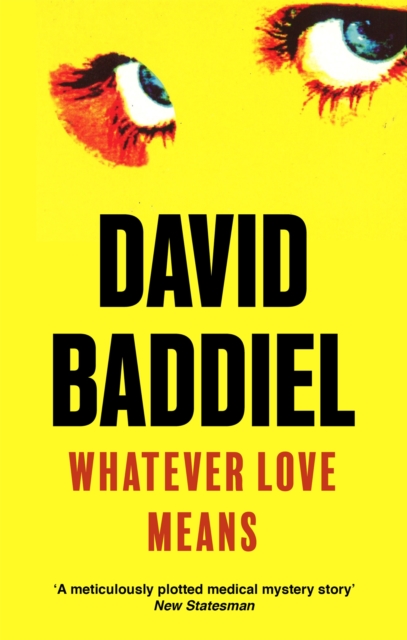 Whatever Love Means, Paperback / softback Book