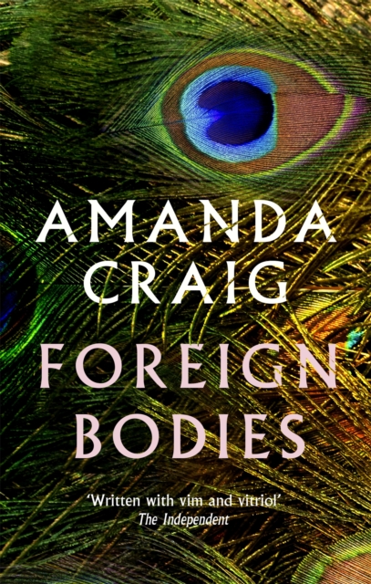 Foreign Bodies, Paperback / softback Book