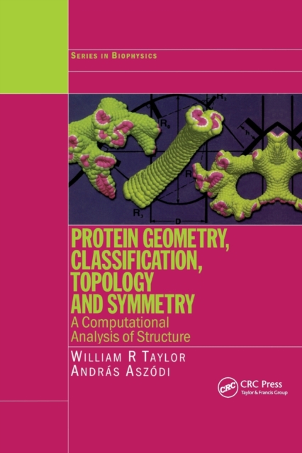 Protein Geometry, Classification, Topology and Symmetry : A Computational Analysis of Structure, Paperback / softback Book