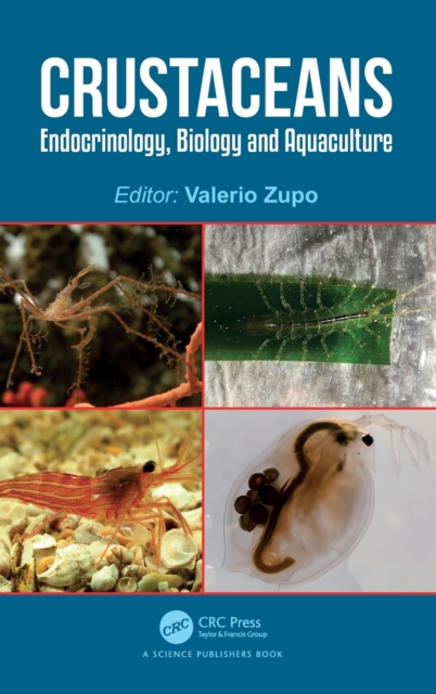 Crustaceans : Endocrinology, Biology and Aquaculture, Hardback Book