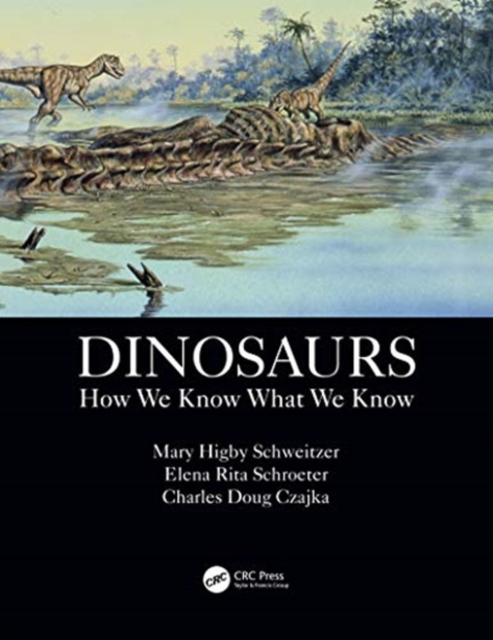 Dinosaurs : How We Know What We Know, Paperback / softback Book
