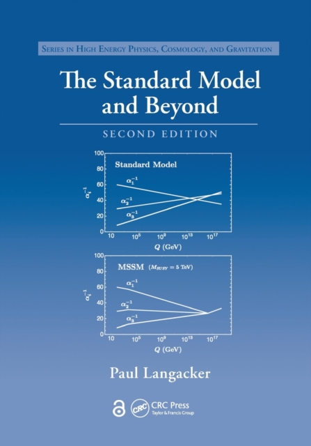 The Standard Model and Beyond, Paperback / softback Book