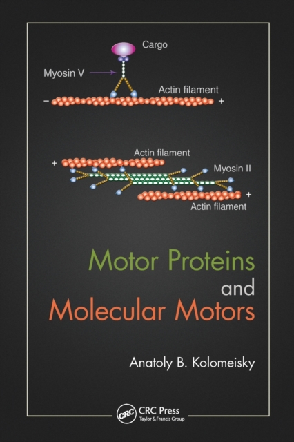 Motor Proteins and Molecular Motors, Paperback / softback Book