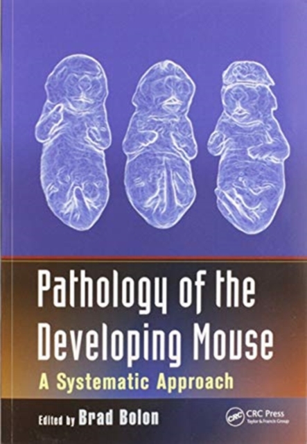 Pathology of the Developing Mouse : A Systematic Approach, Paperback / softback Book