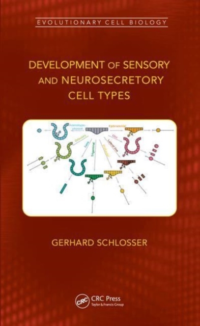 Development of Sensory and Neurosecretory Cell Types : Vertebrate Cranial Placodes, volume 1, Paperback / softback Book
