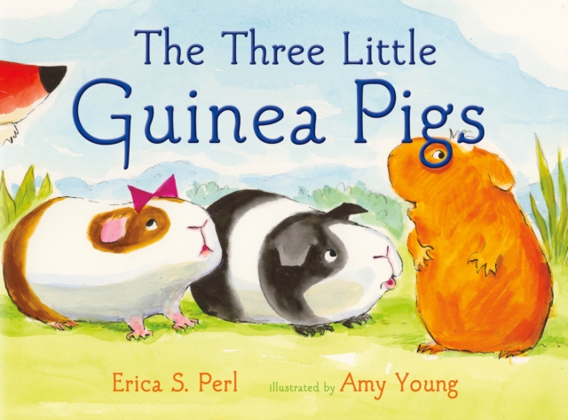 The Three Little Guinea Pigs, Hardback Book