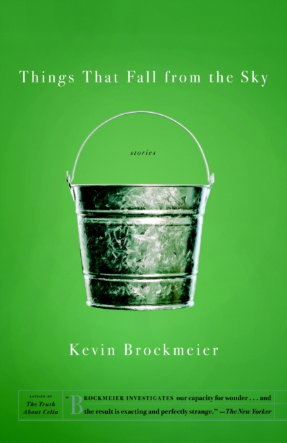 Things that Fall from the Sky, Paperback / softback Book