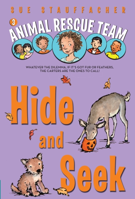 Animal Rescue Team: Hide and Seek, Paperback / softback Book