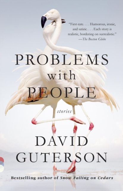 Problems with People, EPUB eBook