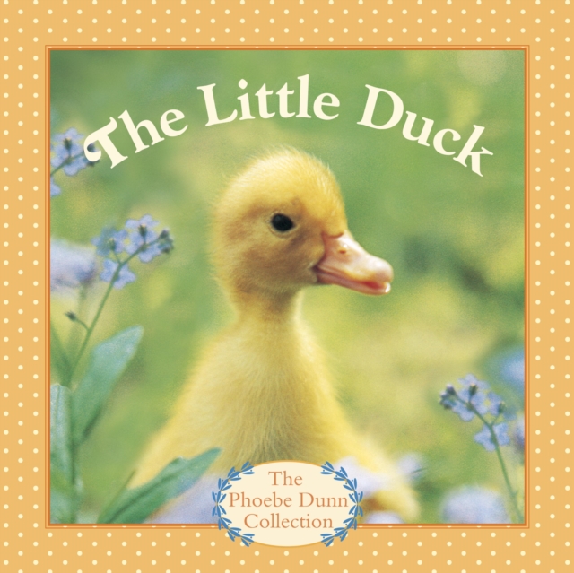 The Little Duck, EPUB eBook