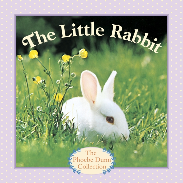 The Little Rabbit, EPUB eBook