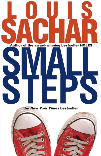 Small Steps, EPUB eBook