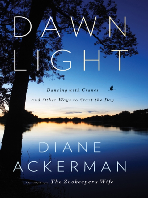 Dawn Light: Dancing with Cranes and Other Ways to Start the Day, EPUB eBook