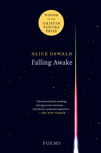 Falling Awake : Poems, EPUB eBook
