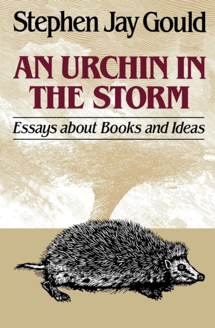 An Urchin in the Storm : Essays about Books and Ideas, Paperback / softback Book