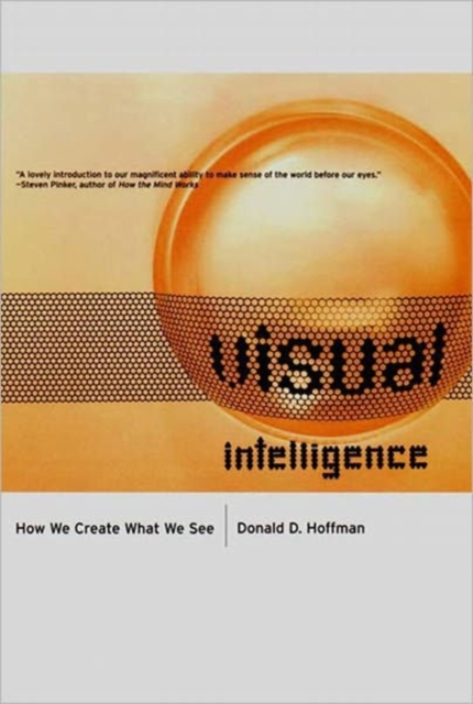 Visual Intelligence : How We Create What We See, Paperback / softback Book