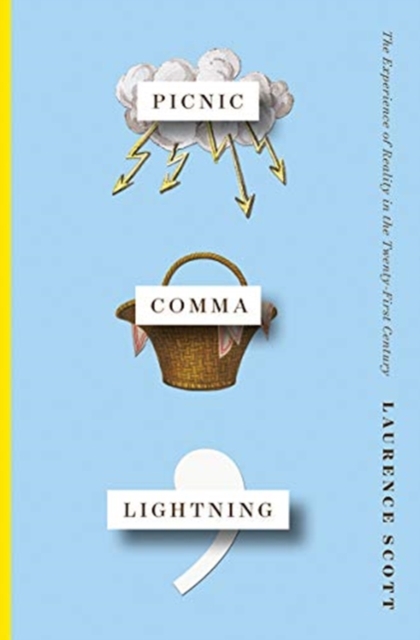 Picnic Comma Lightning : The Experience of Reality in the Twenty-First Century, Hardback Book