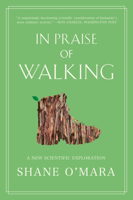 In Praise of Walking : A New Scientific Exploration, EPUB eBook