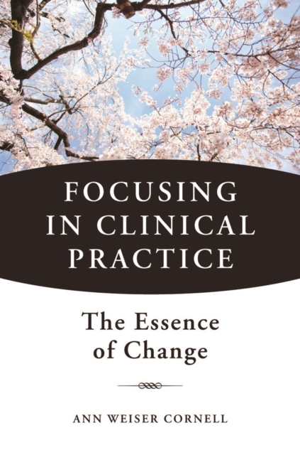 Focusing in Clinical Practice : The Essence of Change, Hardback Book
