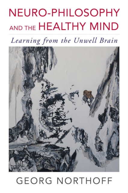 Neuro-Philosophy and the Healthy Mind : Learning from the Unwell Brain, Paperback / softback Book