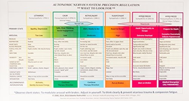 Autonomic Nervous System Table: Wall Poster, Poster Book