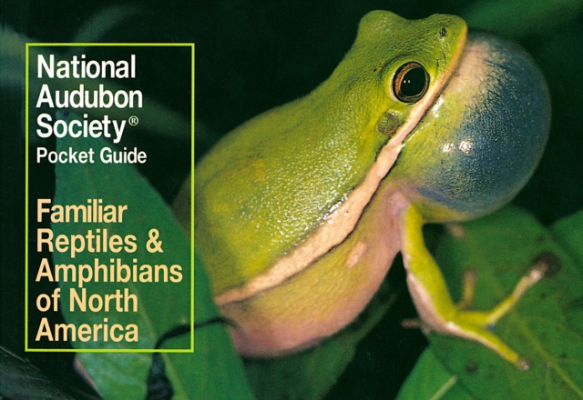 National Audubon Society Pocket Guide to Familiar Reptiles and Amphibians, Paperback / softback Book