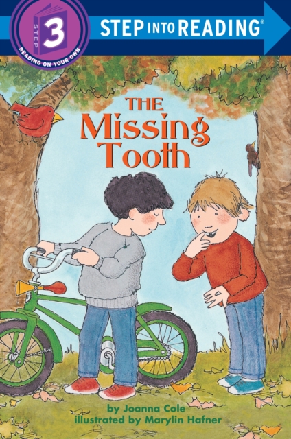 The Missing Tooth, Paperback / softback Book