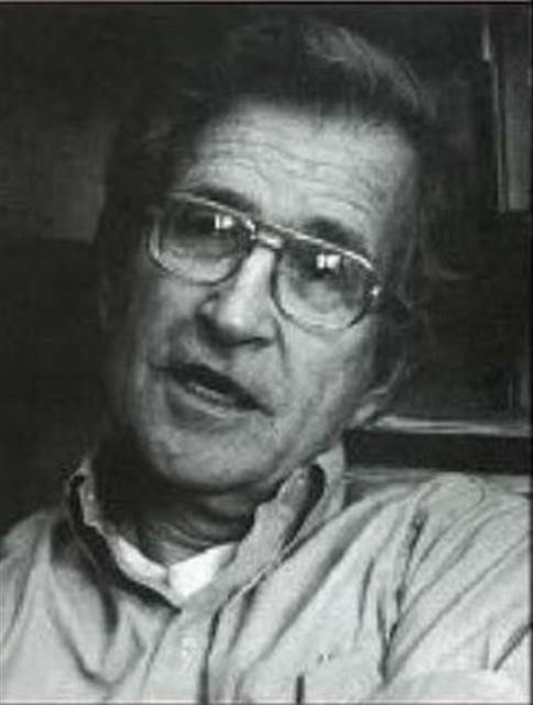 Noam Chomsky : Critical Assessments, Multiple-component retail product Book