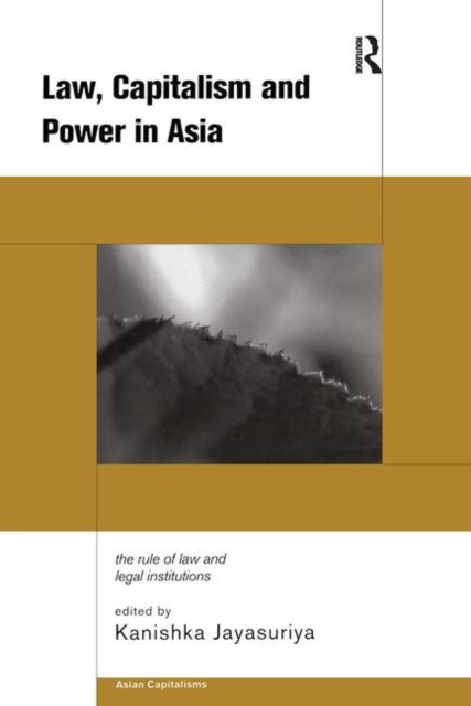 Law, Capitalism and Power in Asia : The Rule of Law and Legal Institutions, Paperback / softback Book