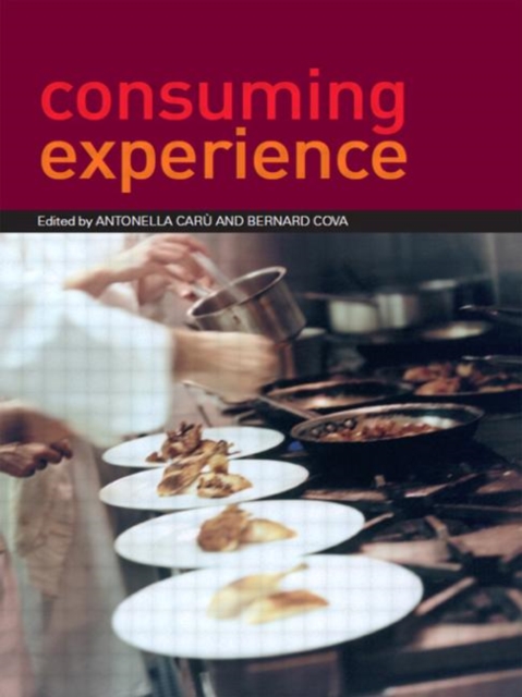 Consuming Experience, Paperback / softback Book